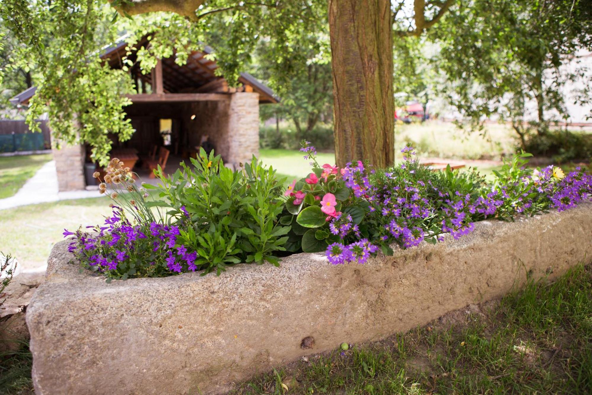 Ubytovani U Vladare Velhartice Extérieur photo